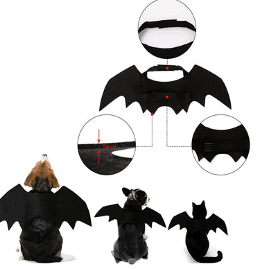 Unleash Your Pet's Spooky Side This Halloween!