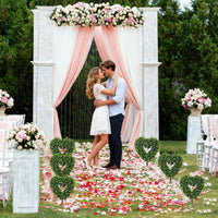 Artificial Heart-Shaped Topiary Tree
