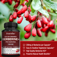 Berberine with Ceylon Cinnamon Capsules┃Supports Immune System┃Antioxidant┃Balance┃Liver Health┃Digestion